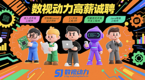 数视动力 2025 年核心技术岗位招聘启事